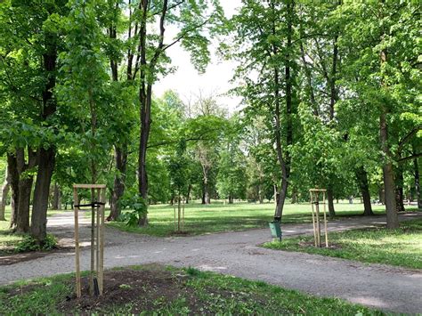 Zeleň v mestskom parku Senec