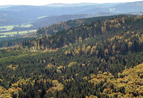 Malebná krajina Strážovských vrchov