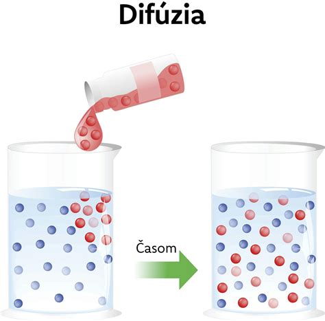 Diagram znázorňujúci proces difúzie vlhkosti cez sanačnú omietku