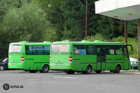 Detail modernej dlažby a zelene na autobusovej stanici