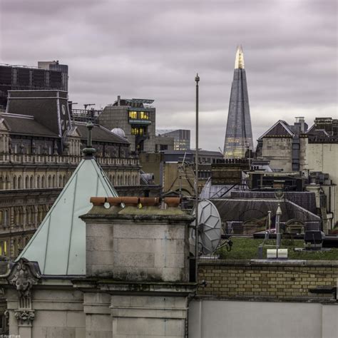 Mestská krajina s vegetačnými strechami