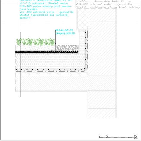 Detail rastlín na extenzívnej zelenej streche