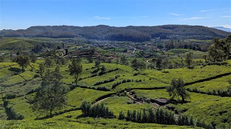 panoráma Oravy s horami a lesmi