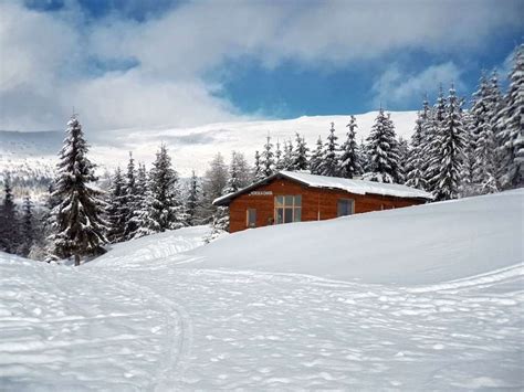 drevená chata v zasneženej krajine
