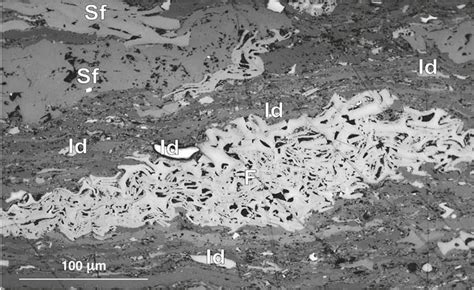 Mikroskopický snímok štruktúry skleneného vlákna