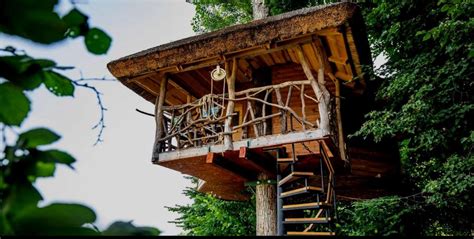 Luxusný dom na strome v prírode