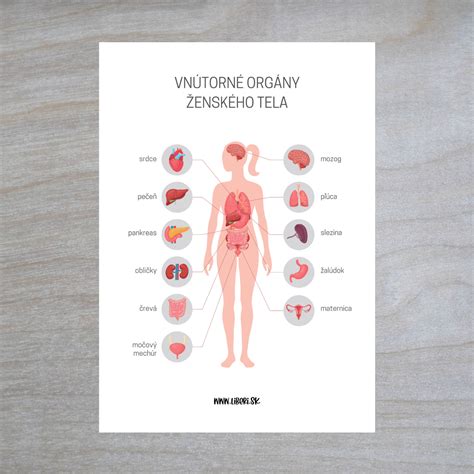 Infografika znázorňujúca rozloženie vnútorných tepelných ziskov v kancelárskom priestore