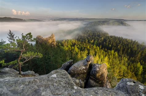 Krajina s chatou v lese