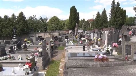 Prehľad cien za prenájom hrobových miest v rôznych obciach