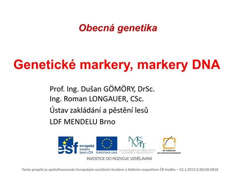 Ilustrácia znázorňujúca DNA a genetické markery