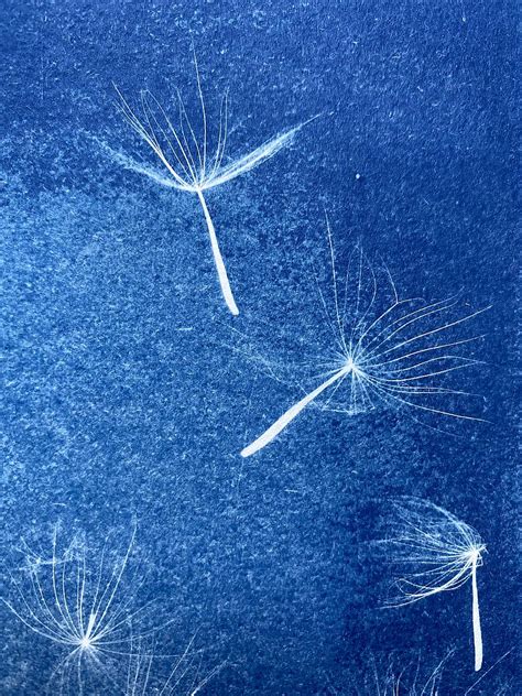 Detail potlače na blueback papieri