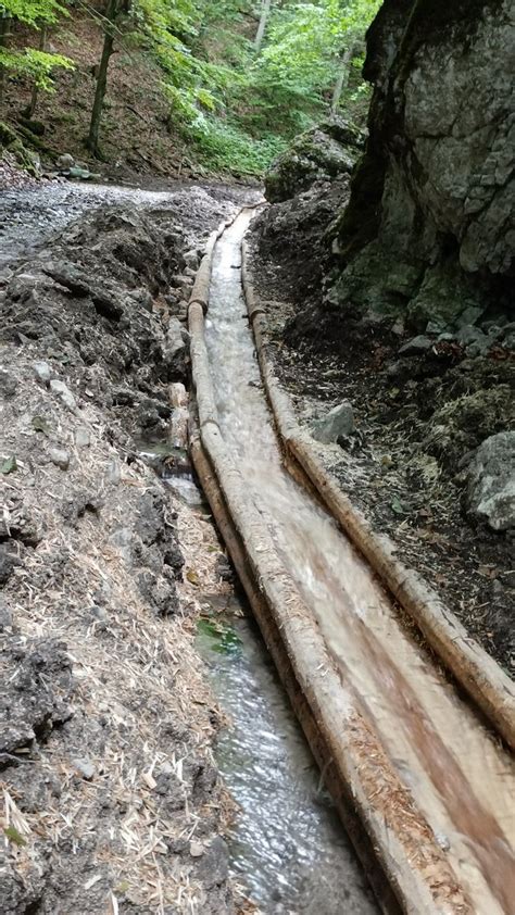 Pozostatky starého dreveného vodného žľabu v lese