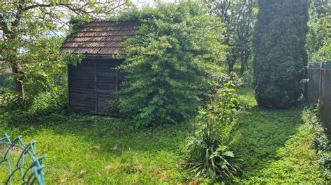 Ilustračná fotografia malebnej záhrady s chatkou