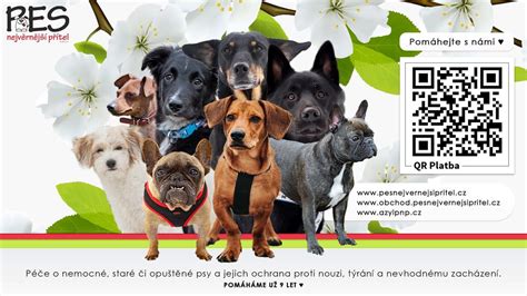 Symbol psa s prečiarknutím