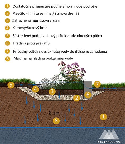 Infografika: Rôzne metódy zberu dažďovej vody (dažďová záhrada, bioswale, priepustné povrchy)