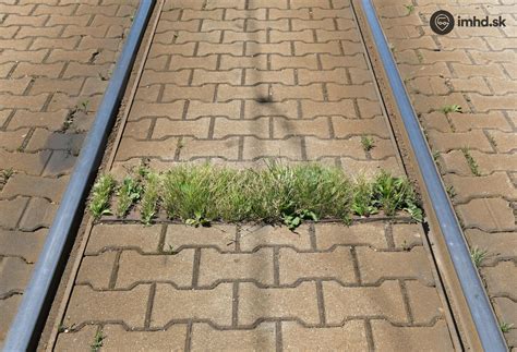 Odvodňovací žľab na terase