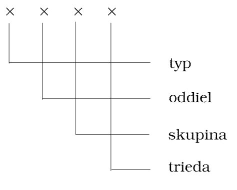 Klasifikácia stavieb