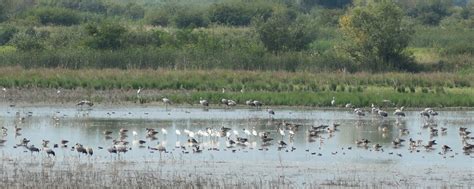 Ilustrácia znázorňujúca harmonické začlenenie modernej infraštruktúry do prírodnej krajiny
