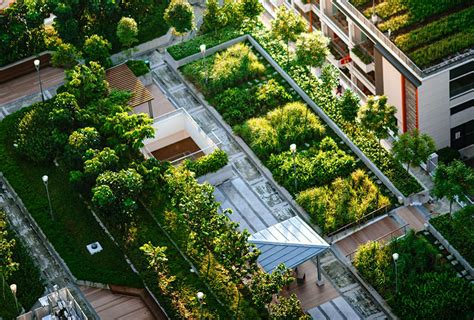 Intenzívna zelená strecha s oddychovou zónou a zeleňou