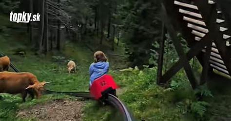 Rodina sa baví na bobovej dráhe