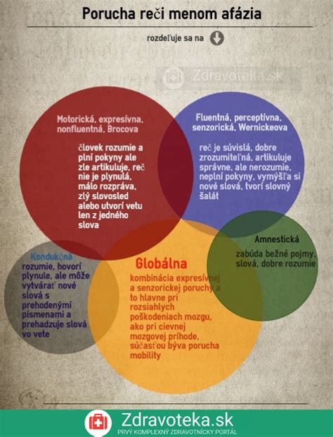 Infografika zobrazujúca rozdelenie mestských daní a ich využitie