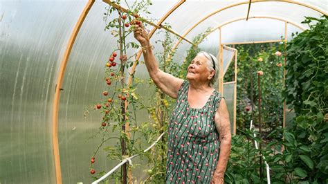 Ilustračná fotografia záhradníckych prác