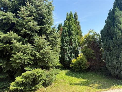 Ilustračná fotografia slnečného pozemku