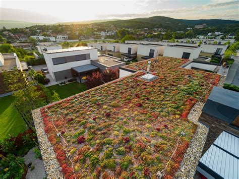 Príklad extenzívnej zelenej strechy s rozchodníkmi