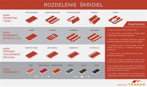 Infografika znázorňujúca rozdelenie ponúkaných kancelárií podľa veľkosti