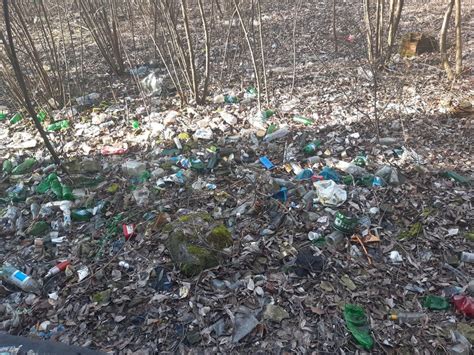 Nelegálna skládka odpadu v prírode