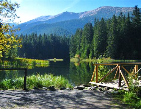 Demänovská dolina v lete s výhľadom na Chopok