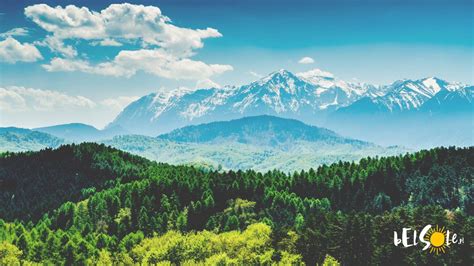 Pohľad na Karpaty z okna