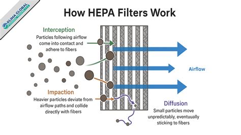 Diagram porovnávajúci HEPA filter a ionizátor.