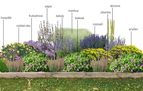 Ilustrácia záhradkárskej osady s chatkami a pestovanými plodinami