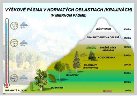 Diagram znázorňujúci vzťah medzi RPS, PPÚ a katastrom nehnuteľností
