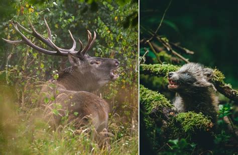 Ilustračná fotografia Kysuckej prírody
