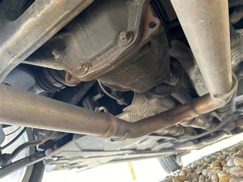 Detailný pohľad na bulbusy samca pavúka