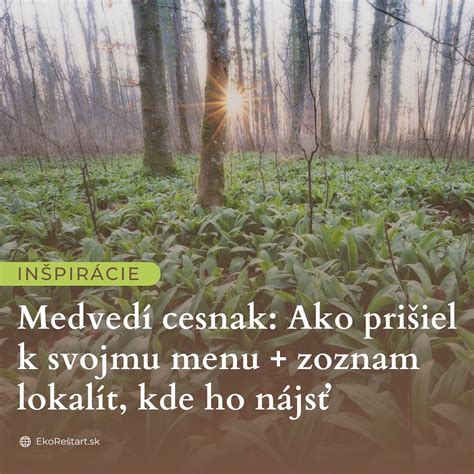 Symbolický obrázok mediácie