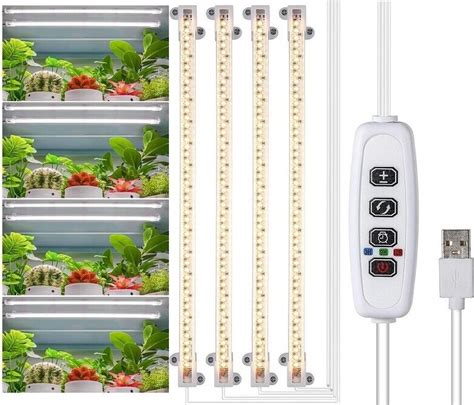 Ilustrácia interiéru s dôrazom na prirodzené svetlo a rastliny