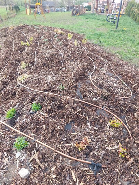 Ilustrácia zelenej infraštruktúry v meste