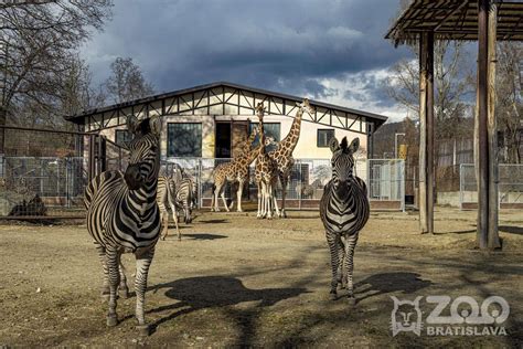 Exponát v ZOO Bratislava