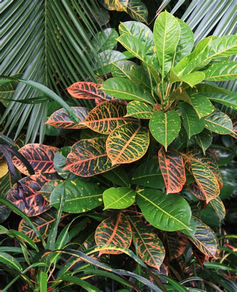 Karavan zaparkovaný v jesennom prostredí s farebnými listami