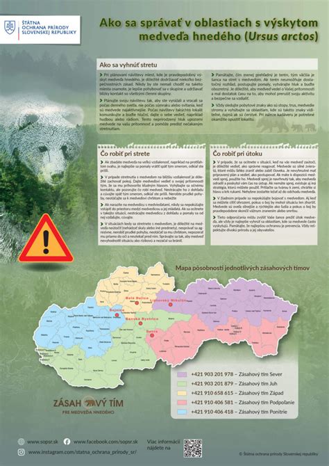 Infografika: Štatistiky verejného obstarávania stavebného dozoru