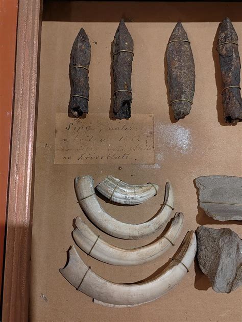 Archeologické nálezy a ich rekonštrukcia