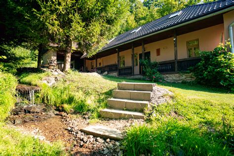 potok pretekajúci cez zelený pozemok