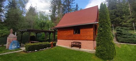 drevená chata v lese