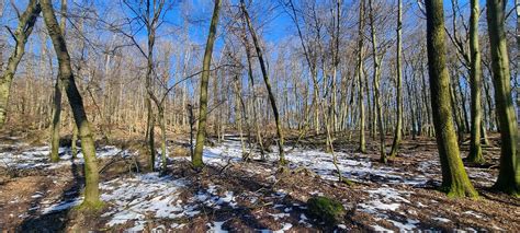 Panoráma Malých Karpát s lesmi a lúkami