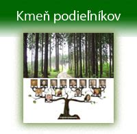 Ilustrácia budovy katastrálneho úradu