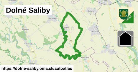 Mapa obce Dolné Saliby s vyznačenými zónami rozvoja