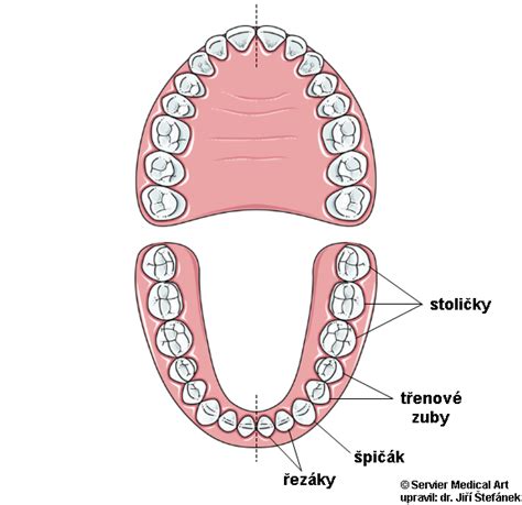 Diagram zobrazujúci rôzne typy zubov na pílových kotúčoch